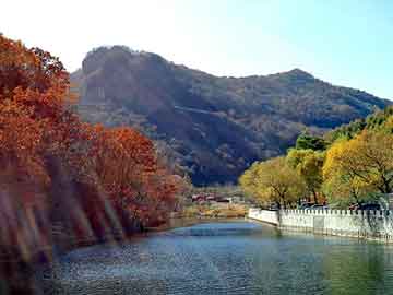 澳门天天免费精准大全，小说流氓医生